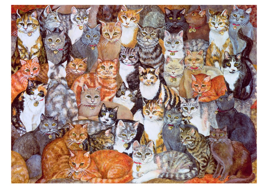 In the Company of Cats Art by Ditz Boxed Notecard Assortment, 20