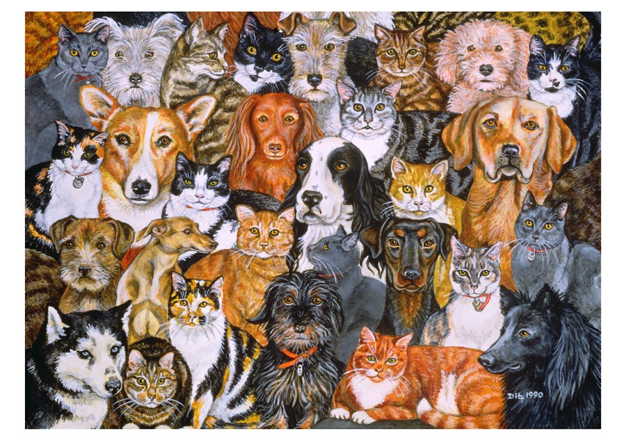In the Company of Cats Art by Ditz Boxed Notecard Assortment, 20