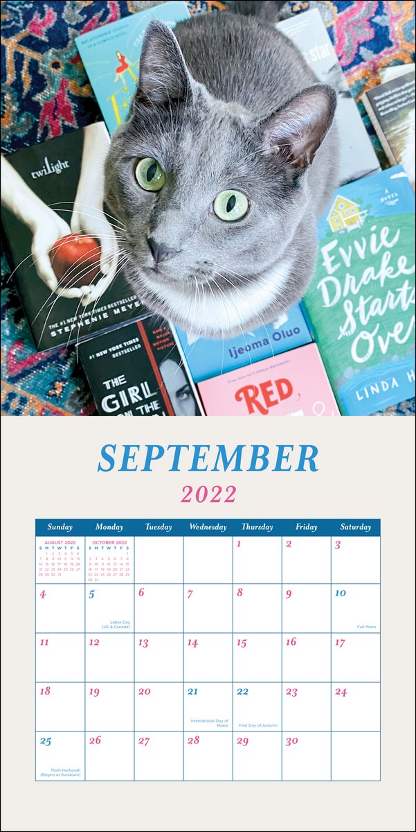 Cats & Books - 2022 Wall Calendar By Universe Publishing | 9780789340337 | Booktopia