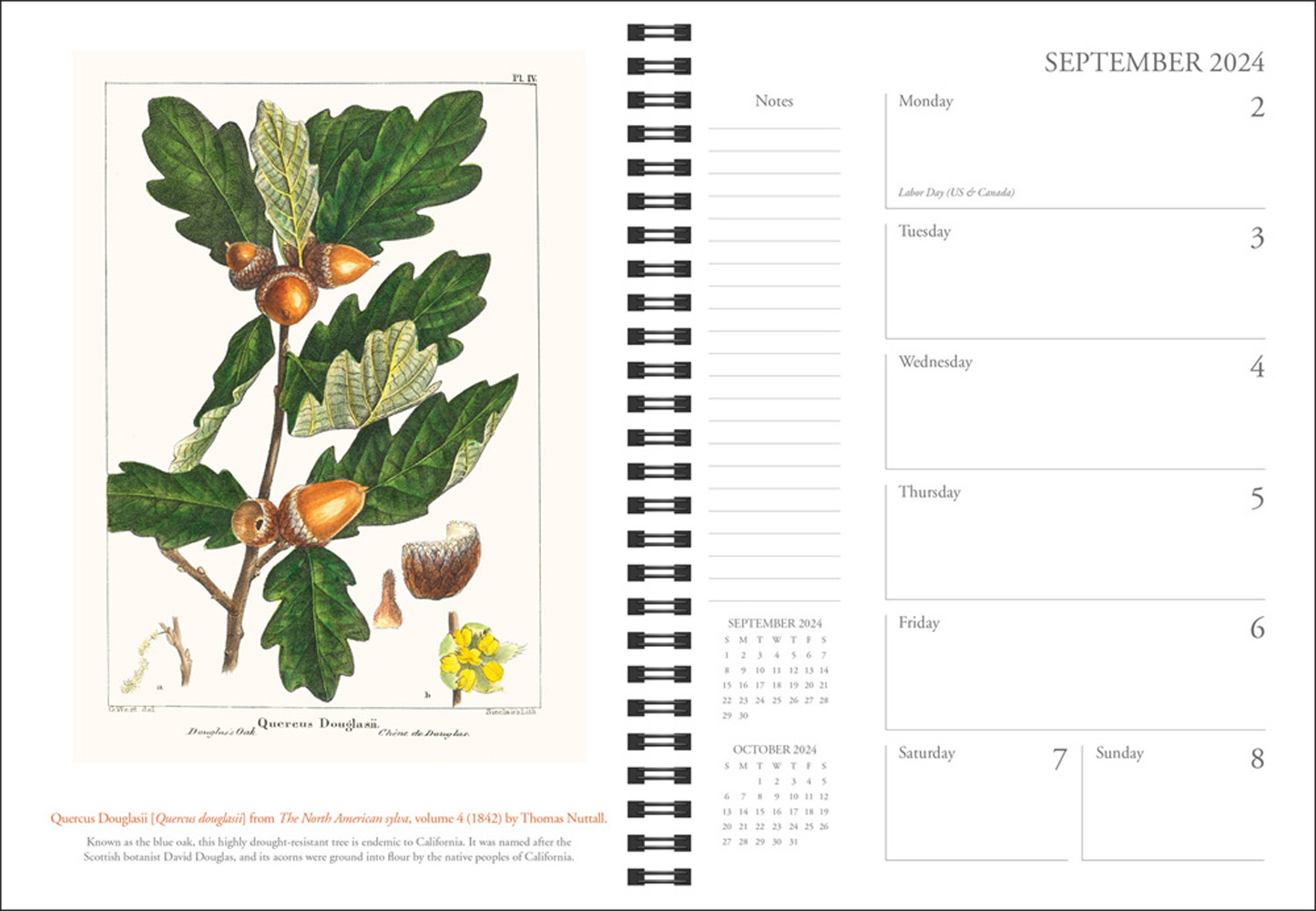 The New York Botanical Garden 2024 Planner (Desk Diary) by The New