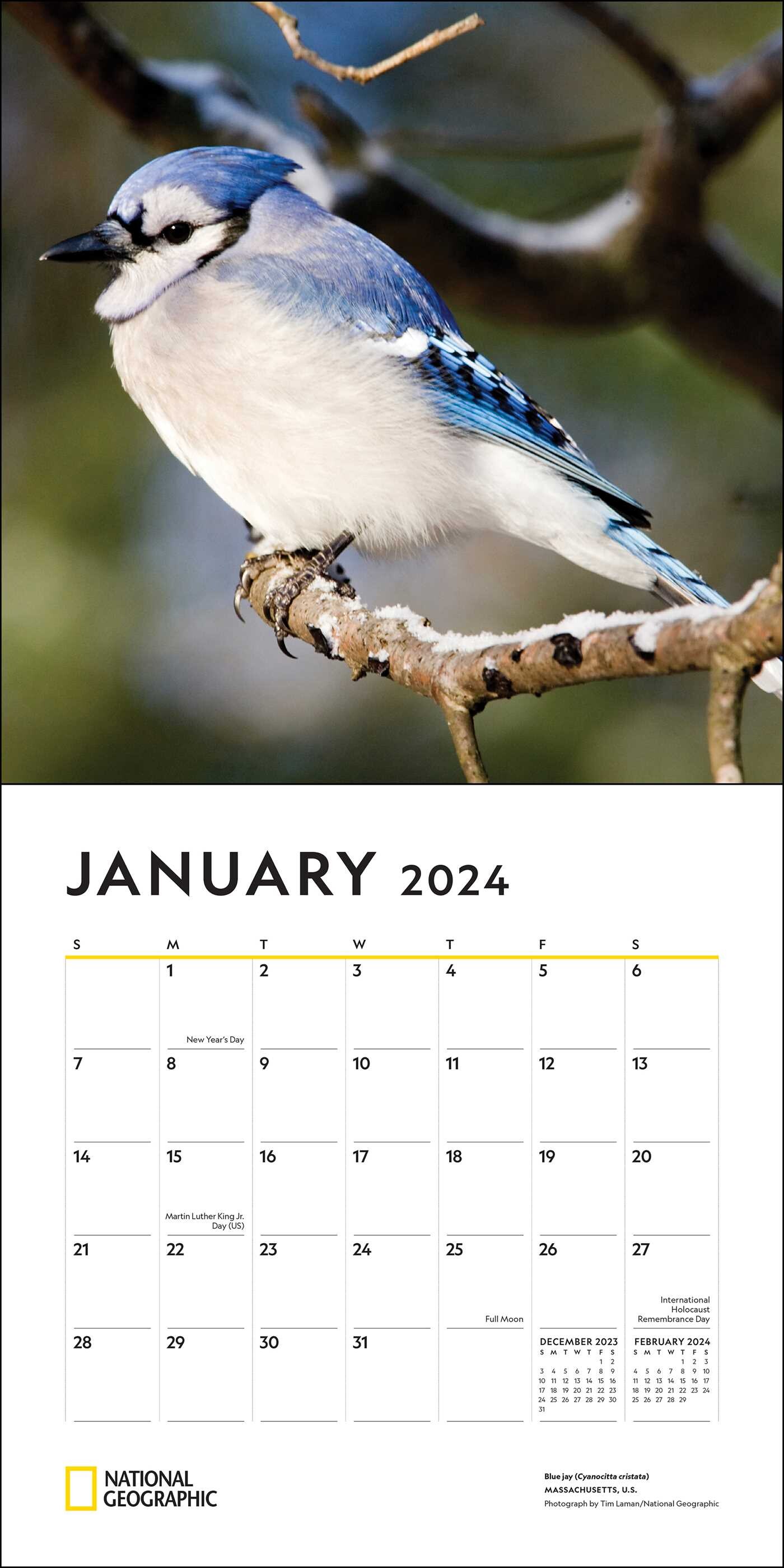 Backyard Birds - 2024 Wall Calendar by National Geographic ...
