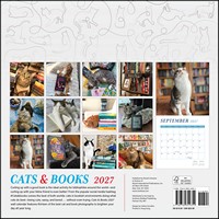 Gallery preview