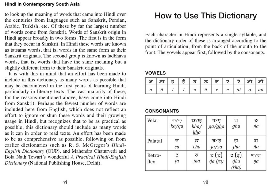 Mini Hindi Dictionary, HindiEnglish, EnglishHindi by Richard Delacy