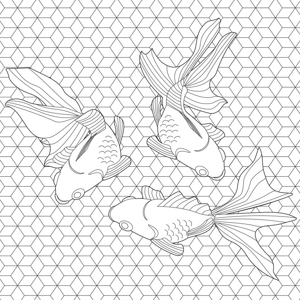 Color Your Own Origami Kit, Creative, Colorful, Relaxing Fun: 7 Fine ...