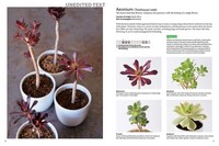 A Field Guide to Succulents by Misa Matsuyama | Colors, Shapes and ...