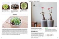 A Field Guide to Succulents by Misa Matsuyama | Colors, Shapes and ...
