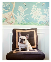 Gallery preview