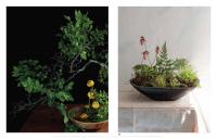Gallery preview