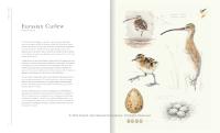 Gallery preview