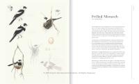 Gallery preview