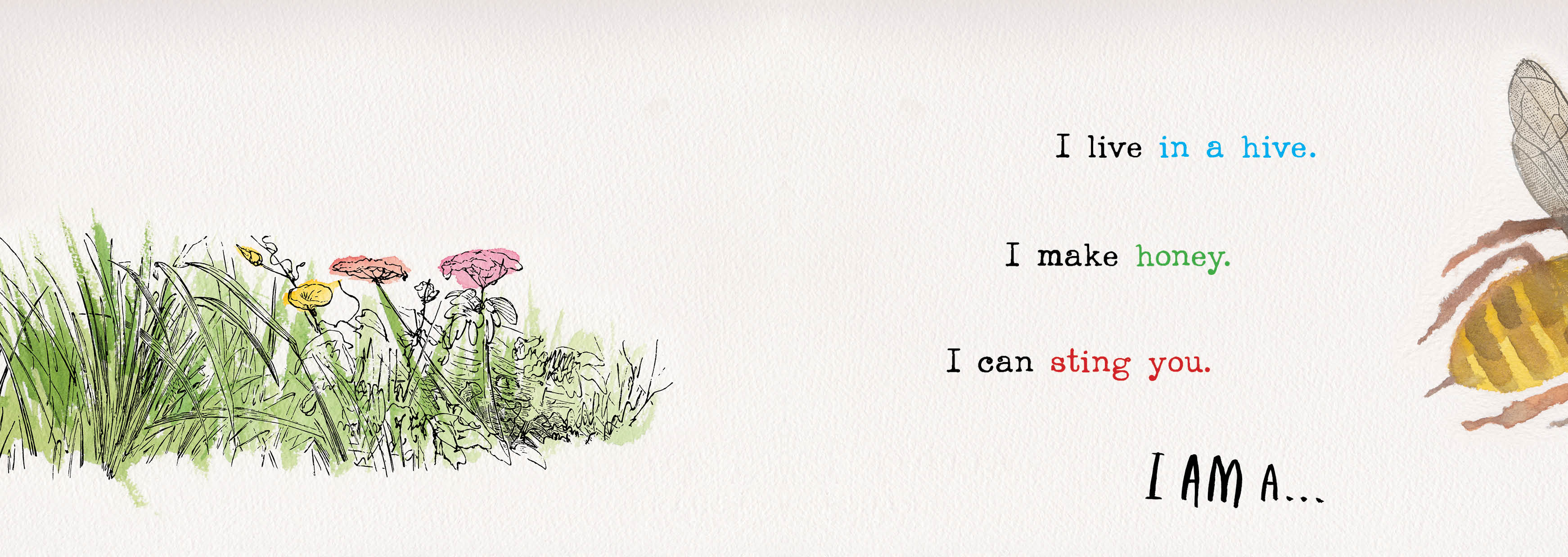 Heads and Tails Insects, Honour Book in the Book of the Year for