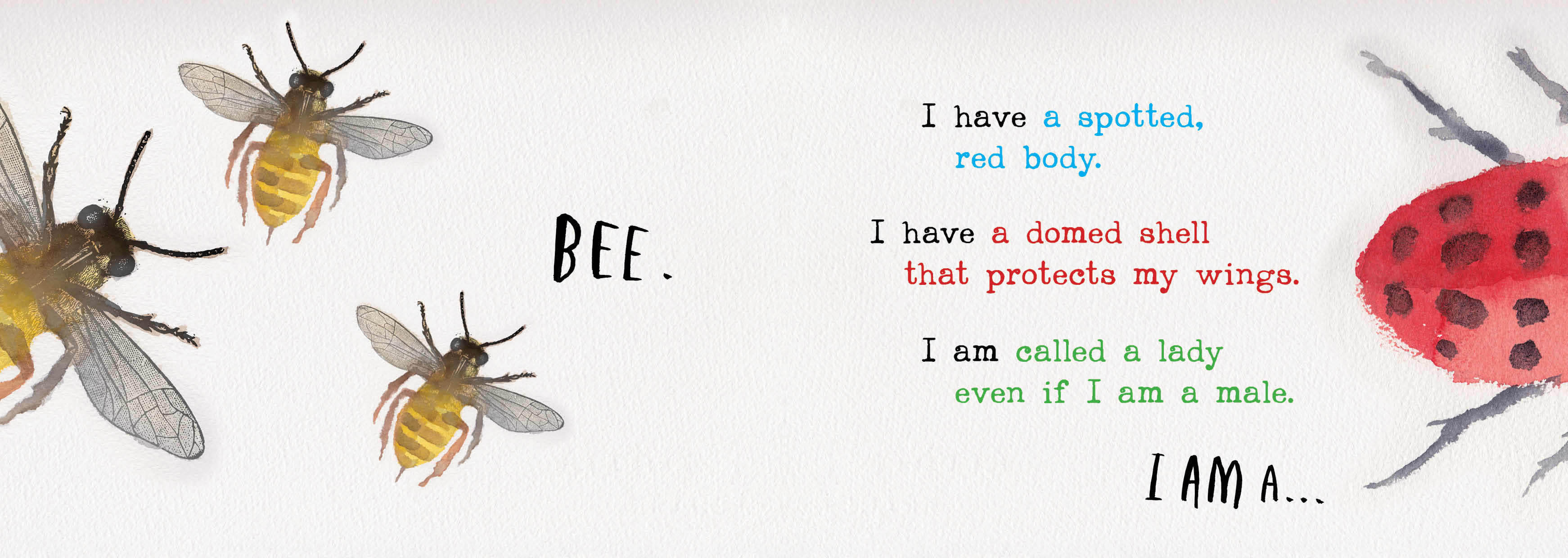 Heads and Tails Insects, Honour Book in the Book of the Year for