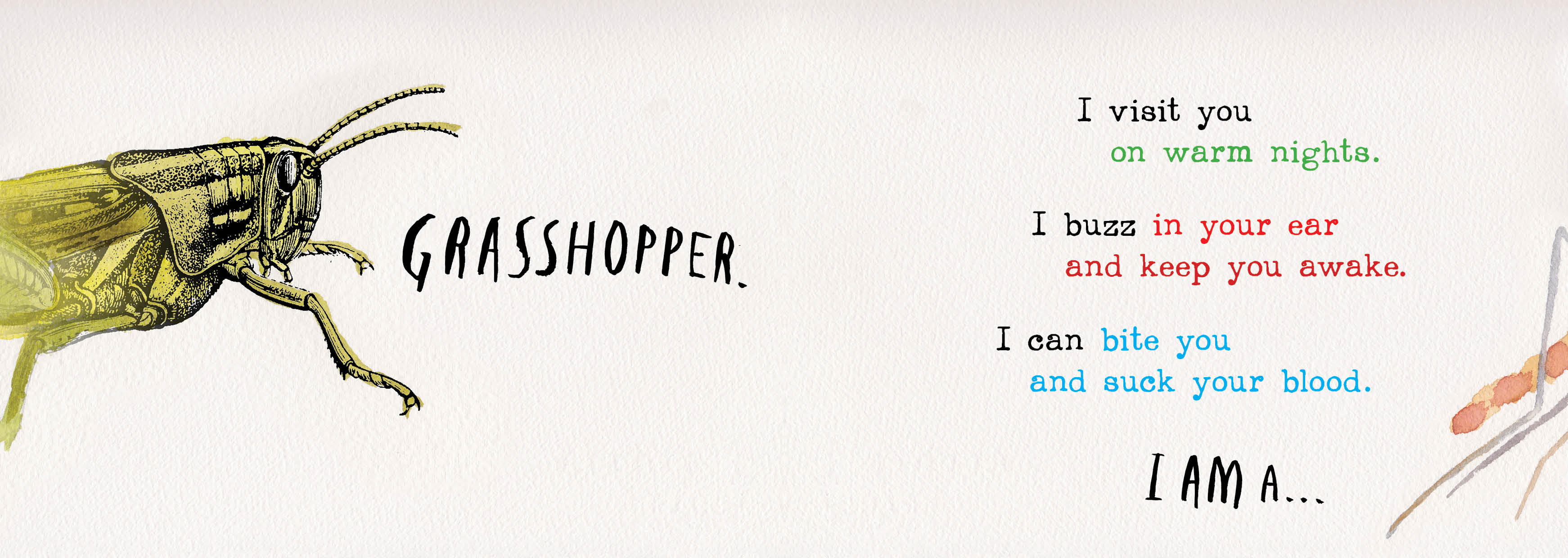 Heads and Tails Insects, Honour Book in the Book of the Year for