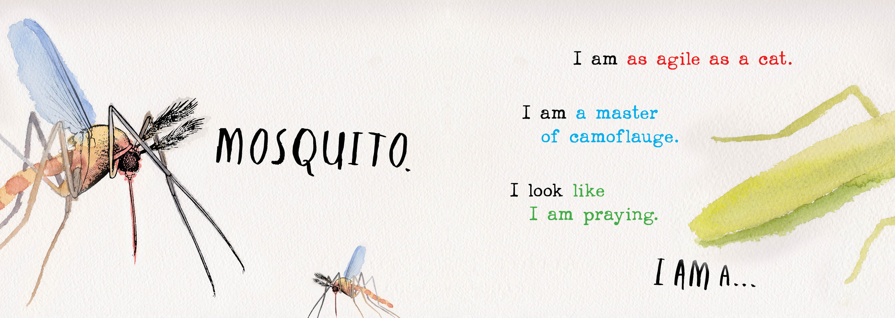 Heads and Tails Insects, Honour Book in the Book of the Year for