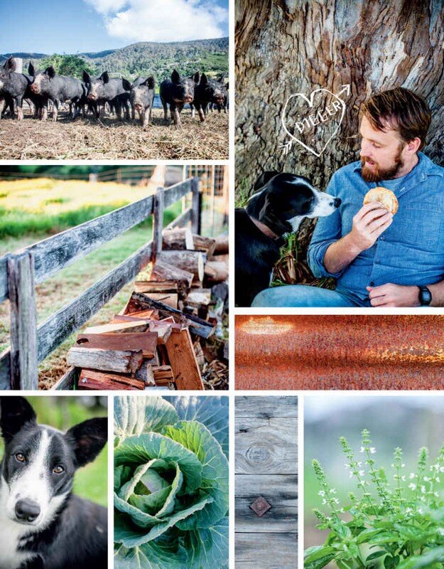 The River Cottage Australia Cookbook River Cottage Australia By
