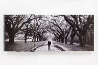 Gallery preview