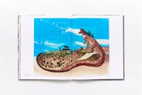 Gallery preview