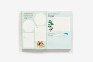Gallery preview