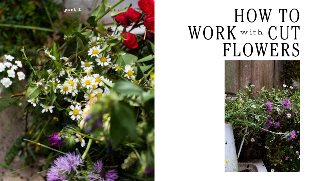 Field, Flower, Vase, Arranging and Crafting with Seasonal and Wild