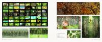 Gallery preview