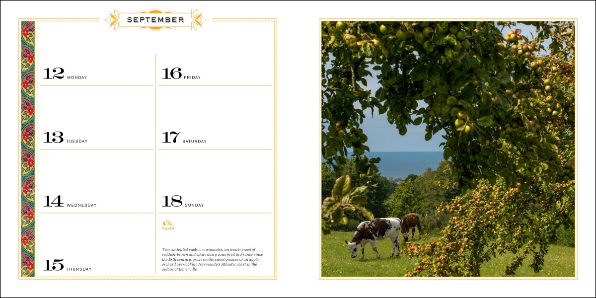 French Country Diary 2022 Diary by Linda Dannenberg 9781419753794