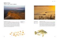 Gallery preview
