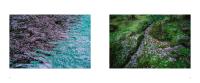 Gallery preview