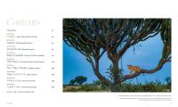 Gallery preview