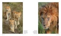 Gallery preview
