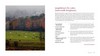 Gallery preview
