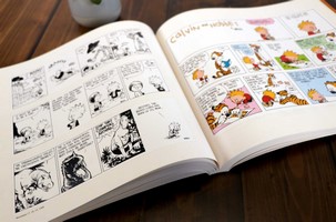 Gallery preview
