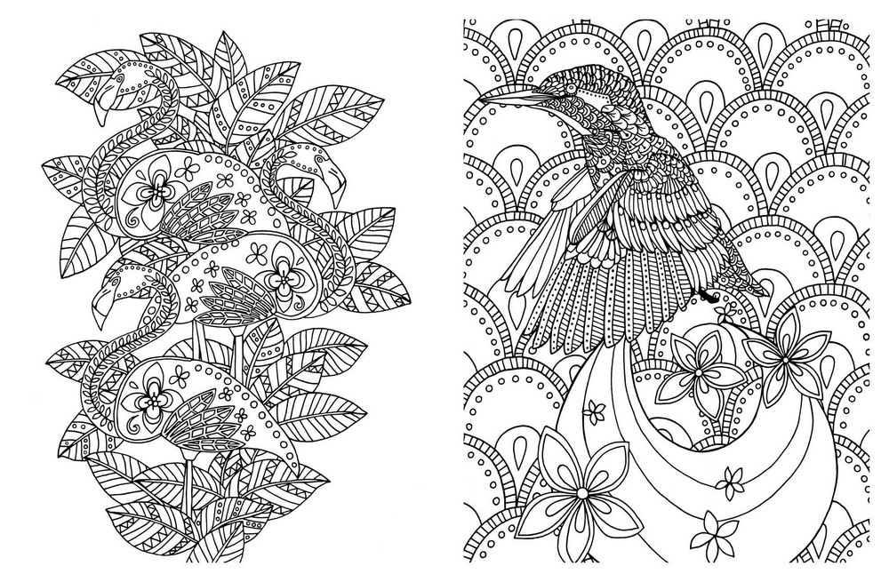 Posh Adult Coloring Book, Soothing Designs for Fun & Relaxation by