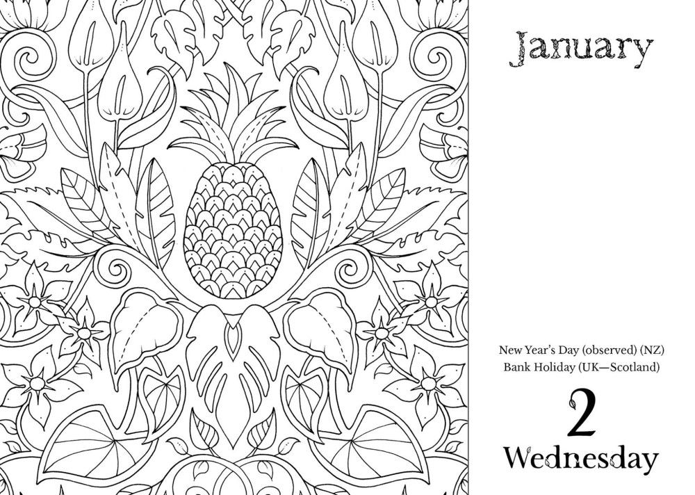 Johanna Basford 2019 Coloring DayToDay Calendar, 2019 DayToDay Calendar by Johanna Basford