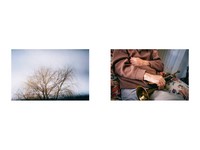 Gallery preview