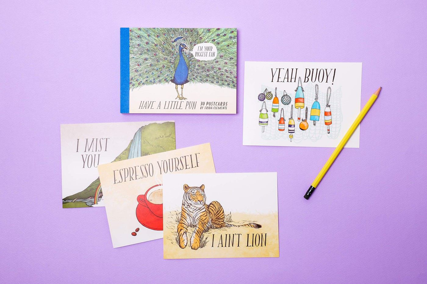 Have a Little Pun 30 Postcards, (Illustrated Postcards, Book of Witty
