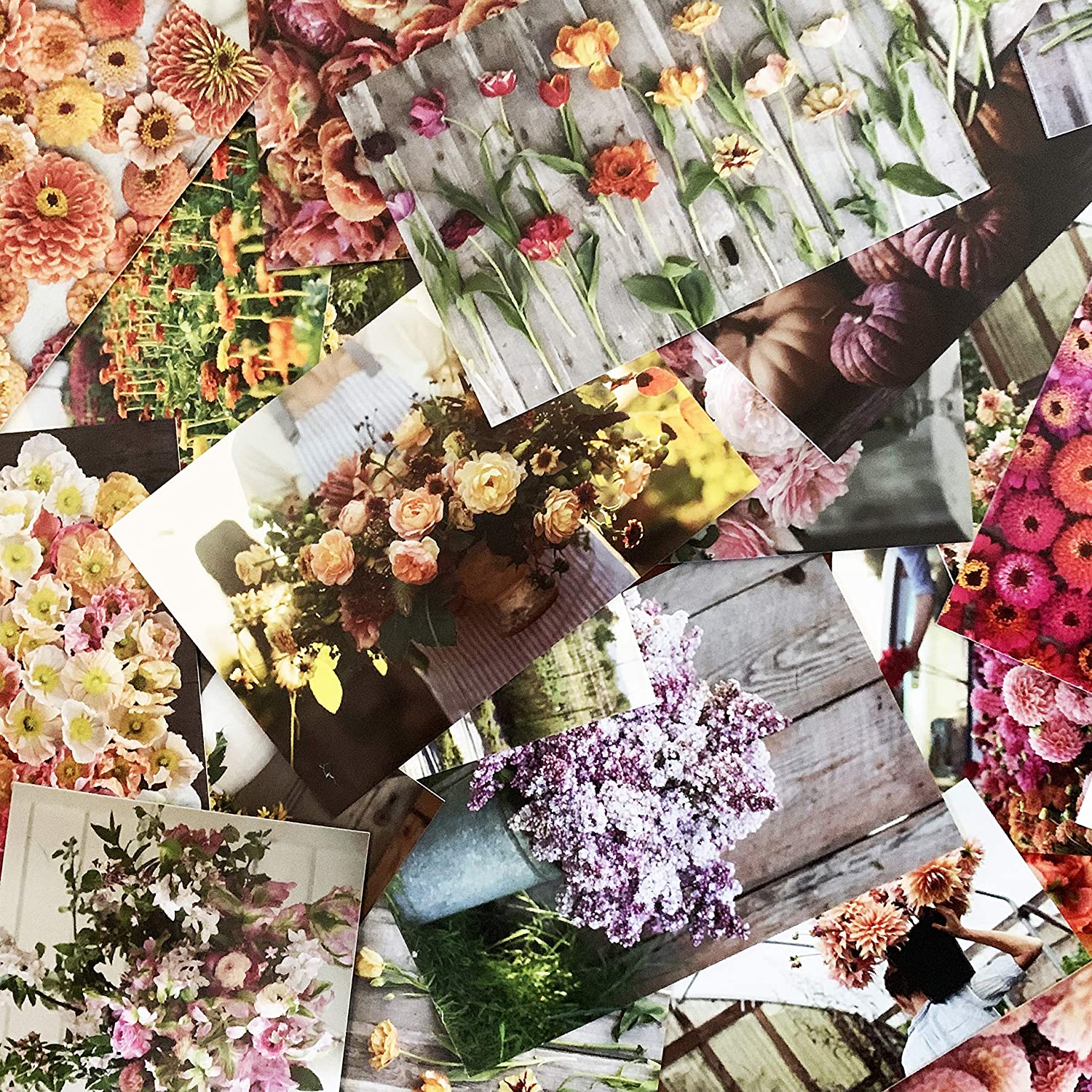 Floret Farm's Cut Flower Garden, 100 Postcards by Erin Benzakein