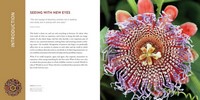 Gallery preview