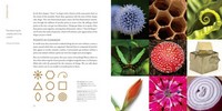 Gallery preview