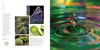 Gallery preview