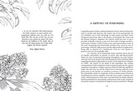 Gallery preview