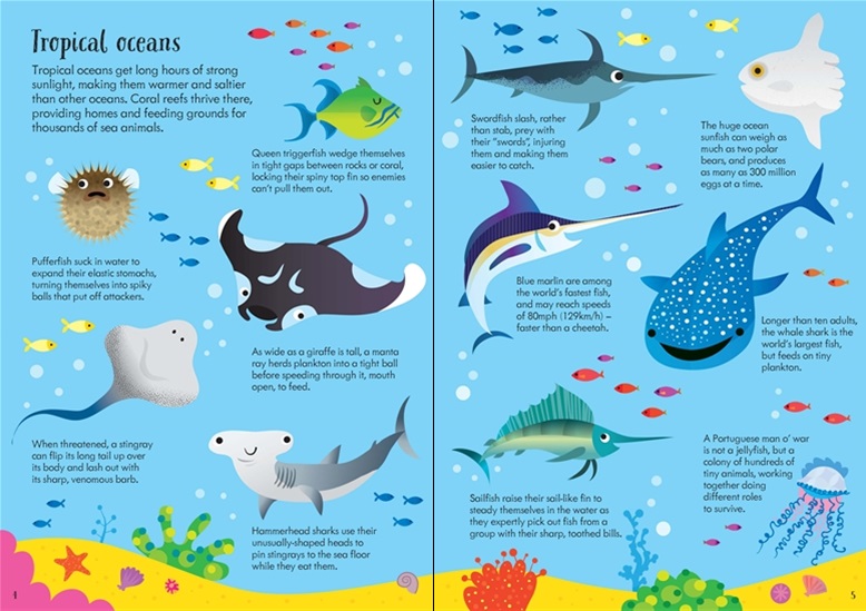 Animals of the World, Usborne 24-Page Book and 200-Piece Jigsaw Puzzle ...