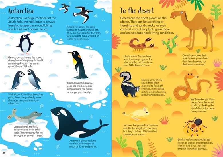 Animals of the World, Usborne 24-Page Book and 200-Piece Jigsaw Puzzle ...