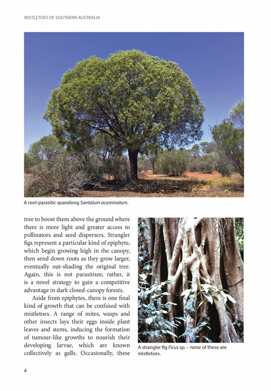 Mistletoes of Southern Australia by David M. Watson | 9781486310937 ...