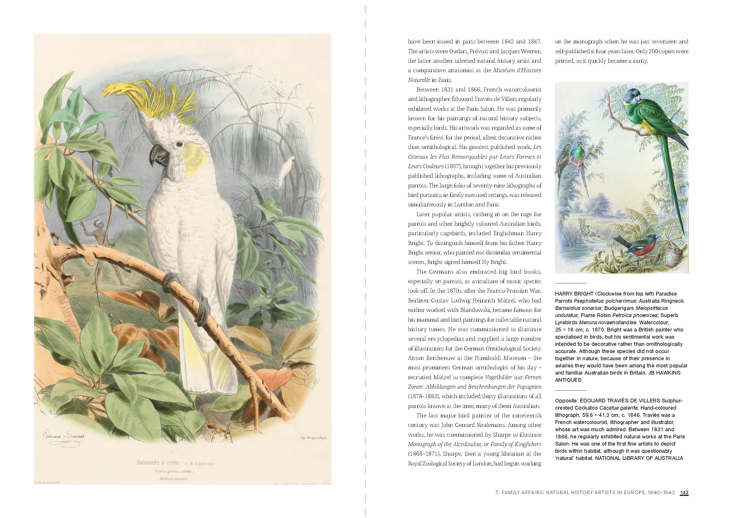 本 特別価格！ Feather and Brush：オーストラリア鳥類芸術300年