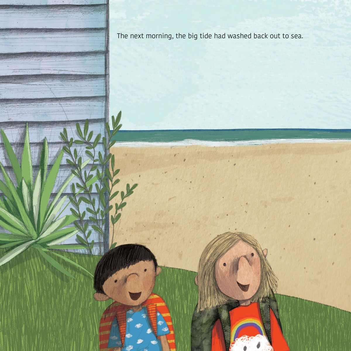 The Great Southern Reef by Paul Venzo | 9781486315314 | Booktopia