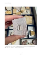 Gallery preview