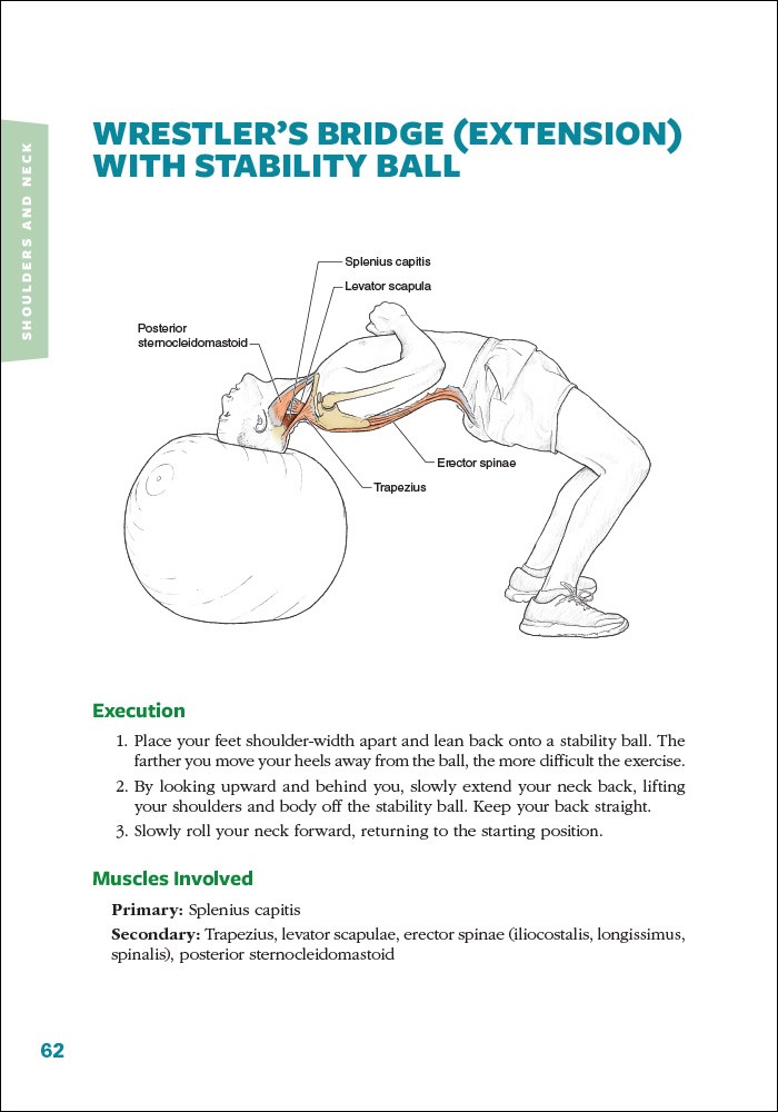 Cycling Anatomy by Shannon Sovndal 9781492568735 Booktopia