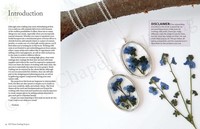 Gallery preview