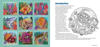 Gallery preview