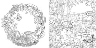 Gallery preview